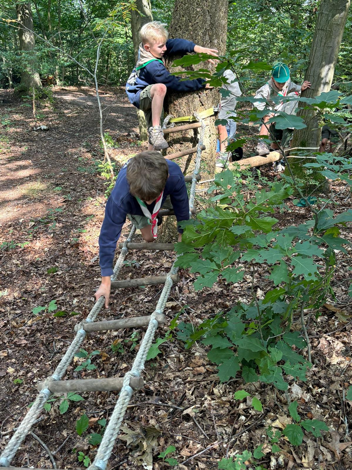 Sint-Martinus den XIIde - Opening 2024